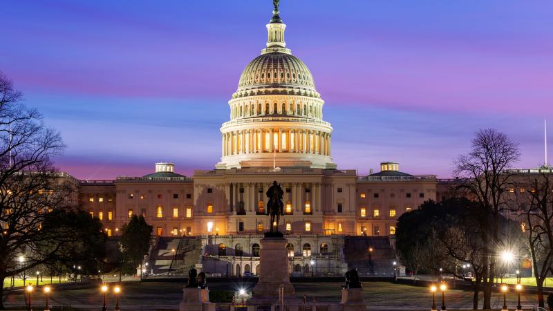 The U.S. Capitol in Washington, D.C.