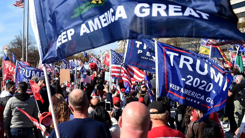 Supporters of US President Donald Trump rally in Washington, DC, on November 14, 2020.