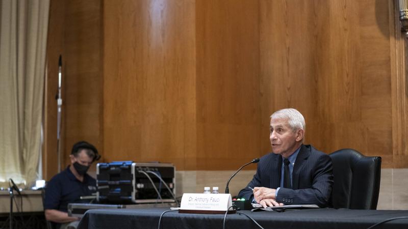 Dr. Anthony Fauci, director of the National Institute of Allergy and Infectious Diseases, speaks during a Senate Appropriations Labor, Health and Human Services Subcommittee hearing looking into the budget estimates for National Institute of Health (NIH) and state of medical research on Capitol Hill, May 26, 2021 in Washington, DC.
