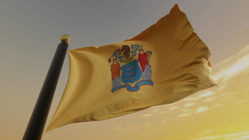 New Jersey state flag