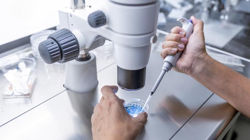 IVF, lab, stock photo