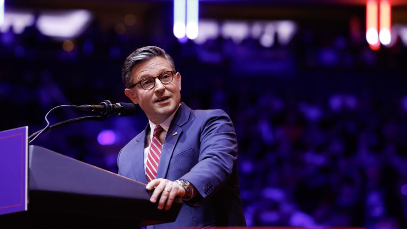 House Speaker Mike Johnson