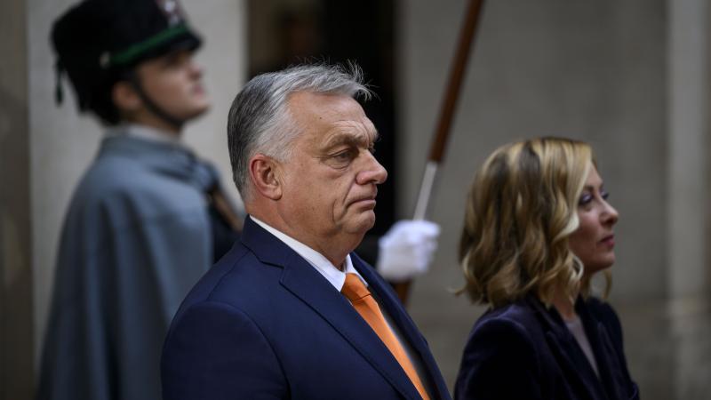 Orban, Meloni