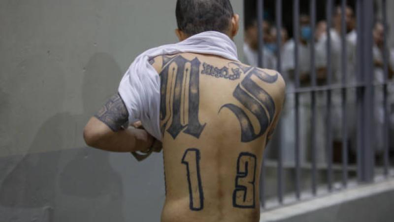 MS-13 tattoo